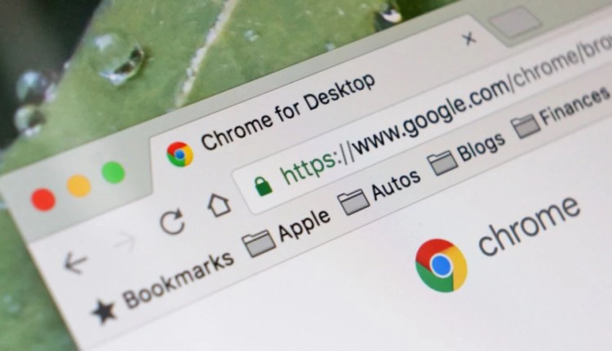 Google Chrome isst den Gedächtnis? Installieren Sie das letzte Update 10324_2
