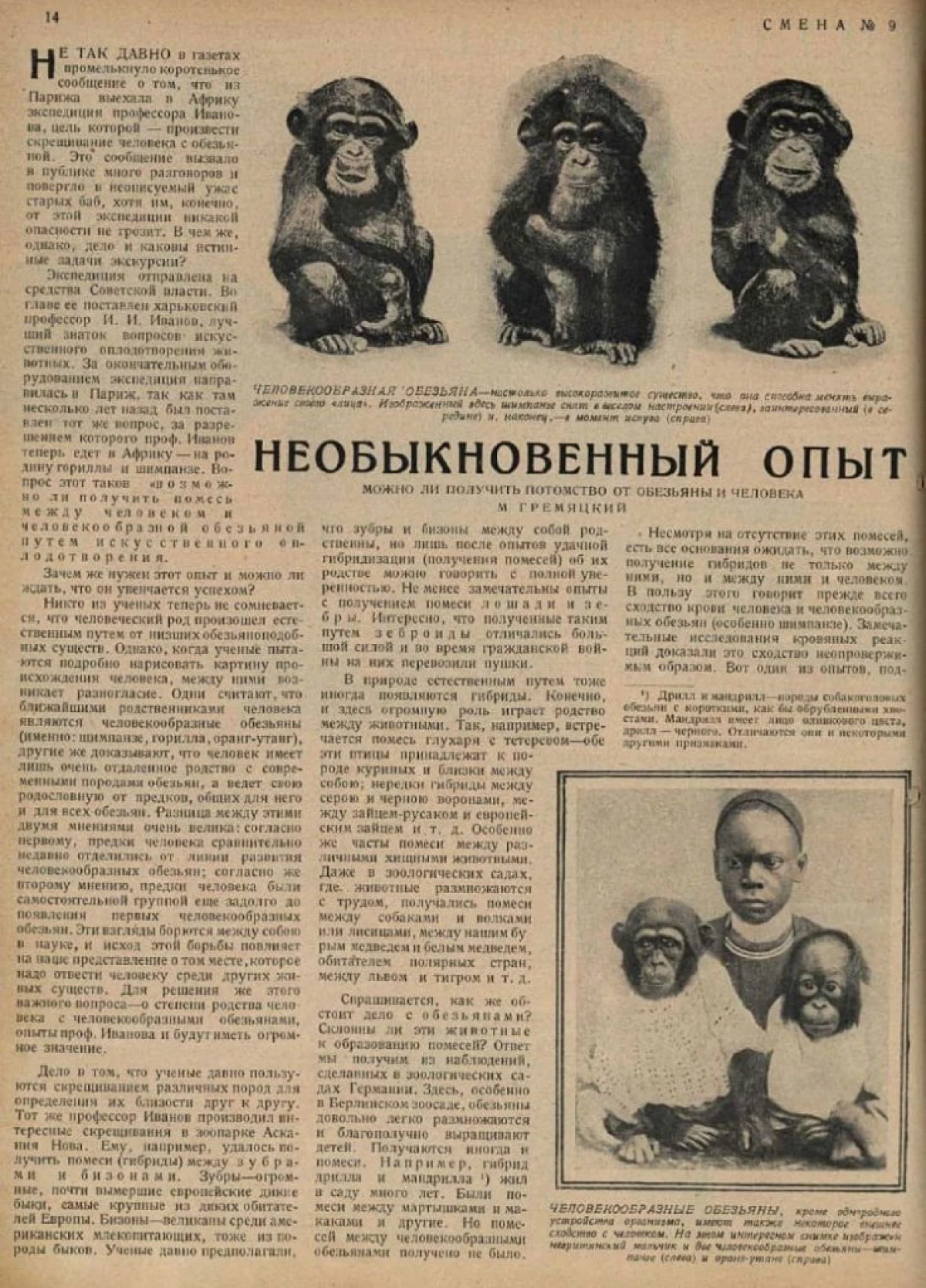 嬰兒嬰孩，sievet和黑色。在USSR中有黑猩猩的黑猩猩過境的野生實驗是什麼？ 10346_2