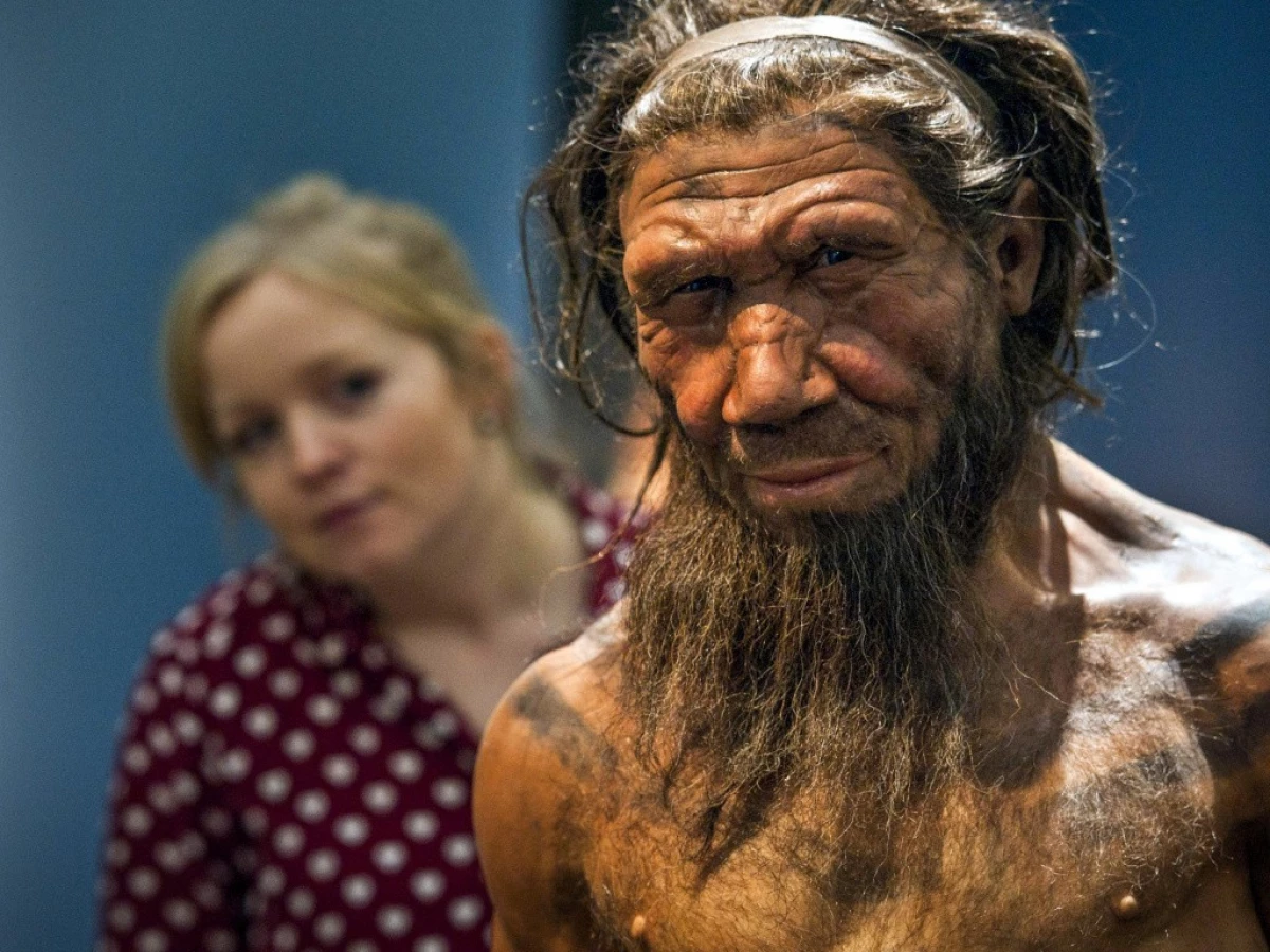 Neanderthals ئىنسانلارنىڭ سۆزىنى ھېس قىلالايدۇ ۋە كۆپەيتەلەيدۇ 11788_1