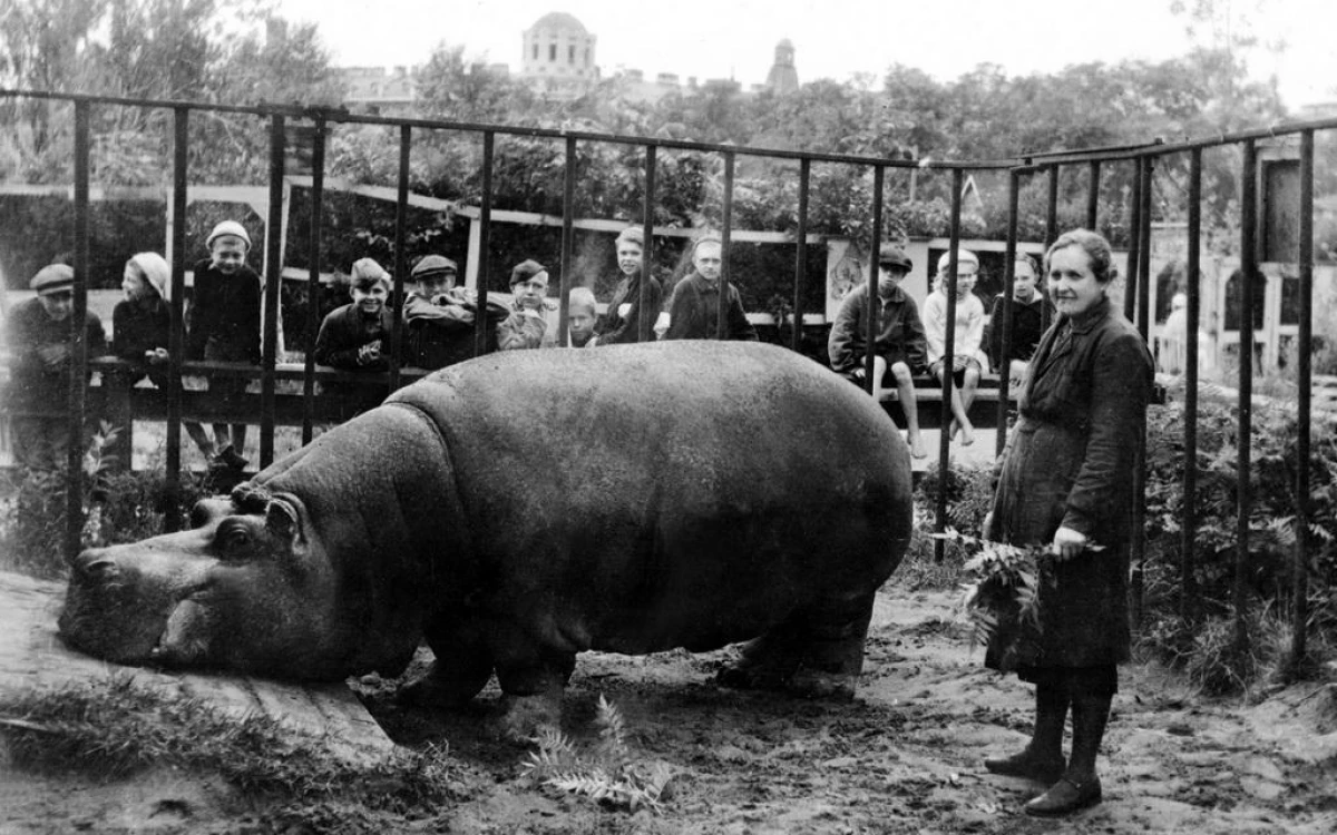 6 fatti tristi su come lo zoo di Leningrado è eroicamente preoccupato per il blocco 123_3