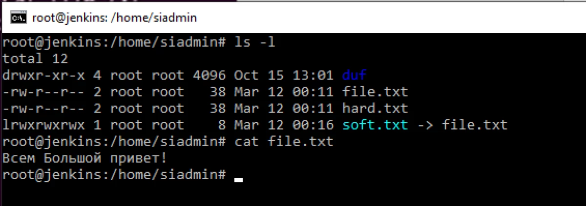 Myke og harde koblinger i Linux 12433_2