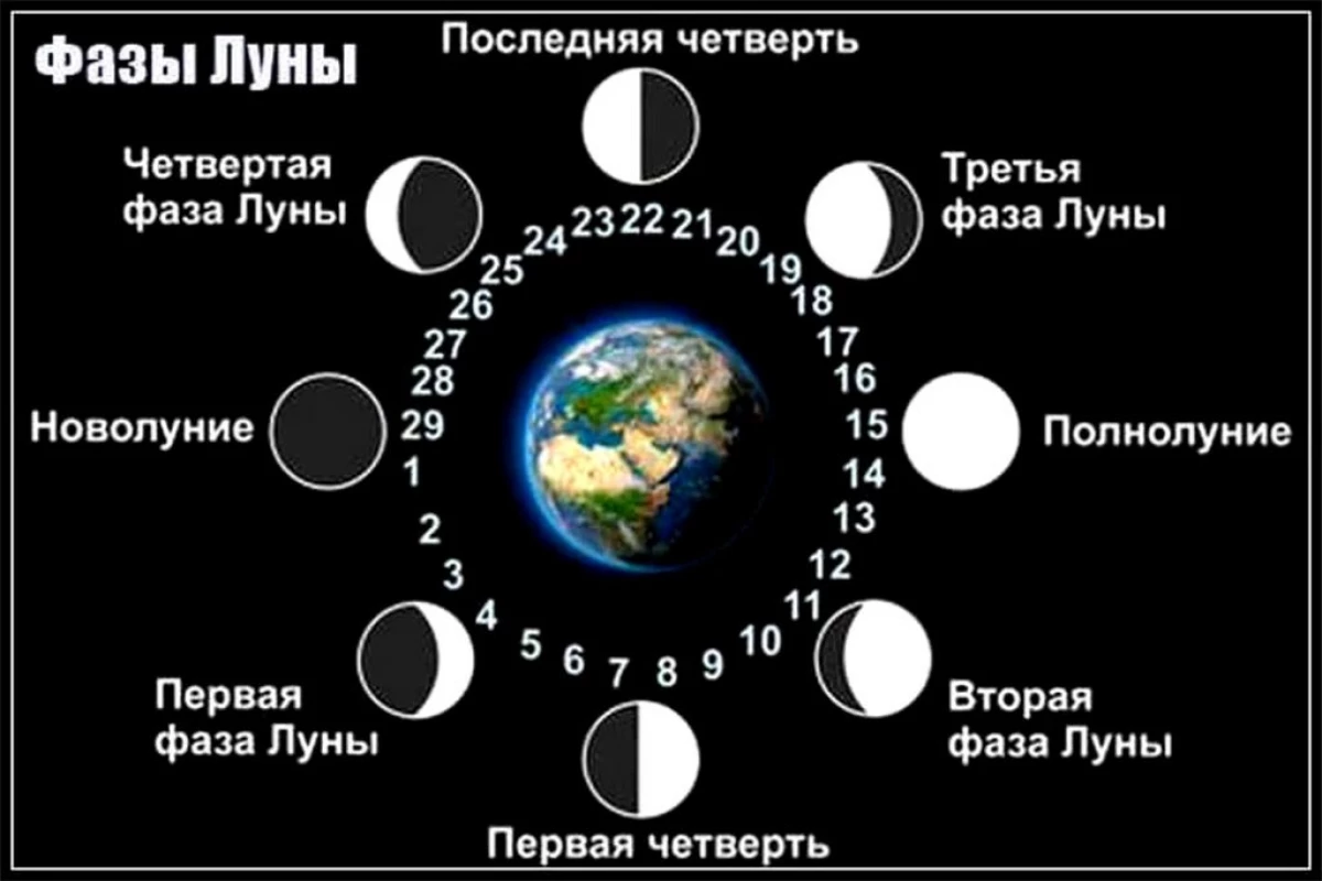 Сколько часов длятся лунные сутки. Фазы Луны. Четверти Луны. Фазы Луны фото. Фазы Луны фазы Луны.