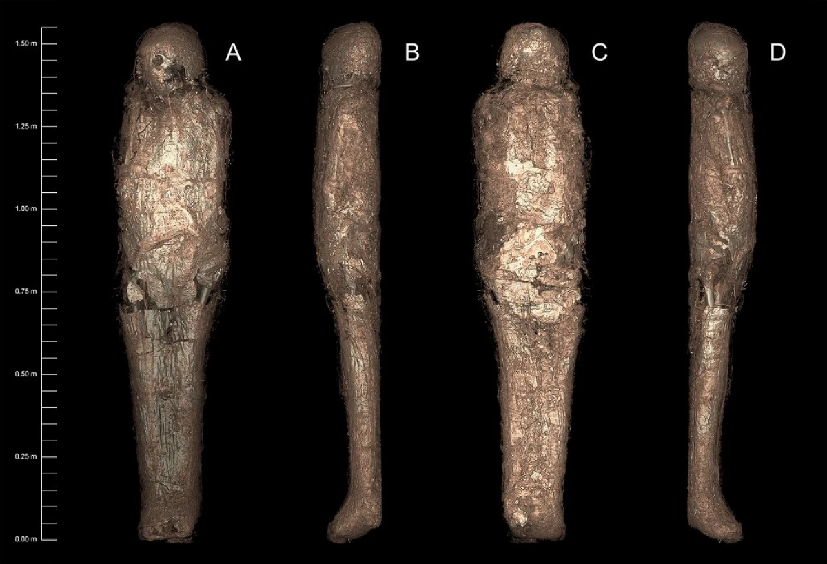 Gli archeologi hanno raccontato della mummia egiziana antica protetta dal 