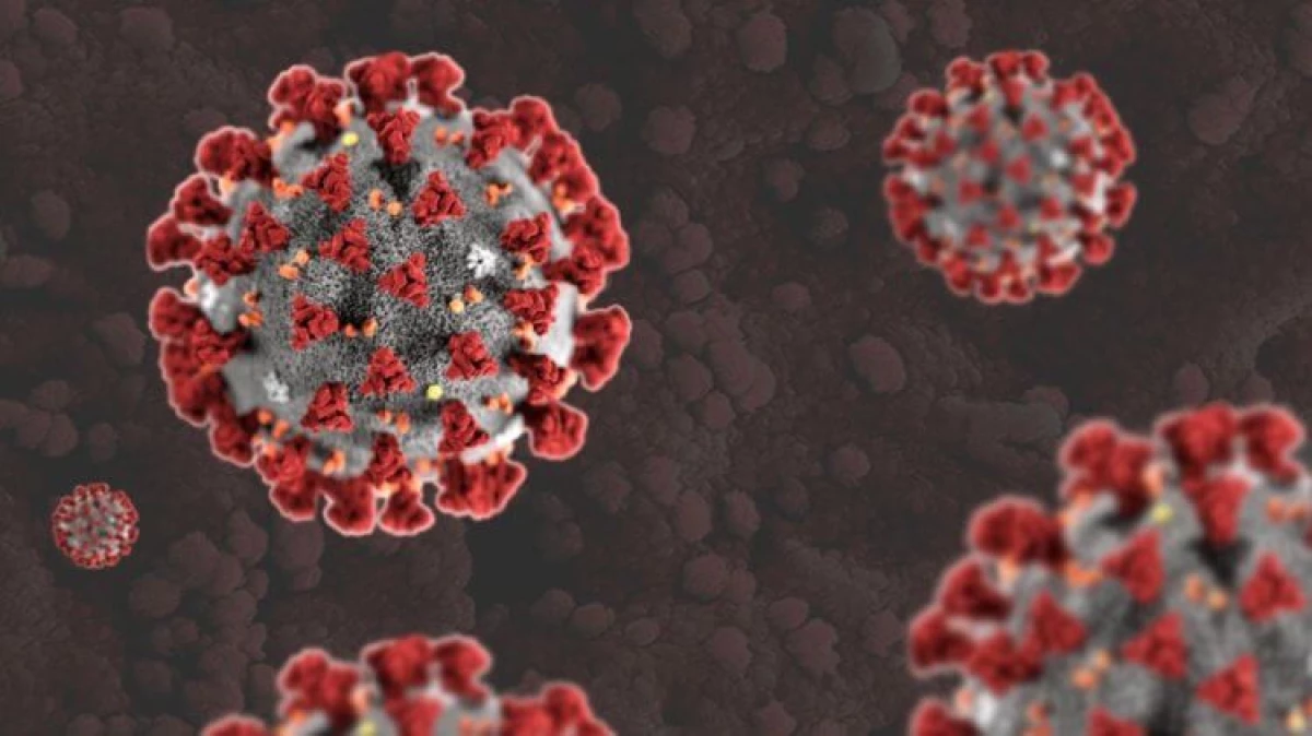 Czy nowa fala Coronavirus rozpocznie się w 2021 roku? 13646_3