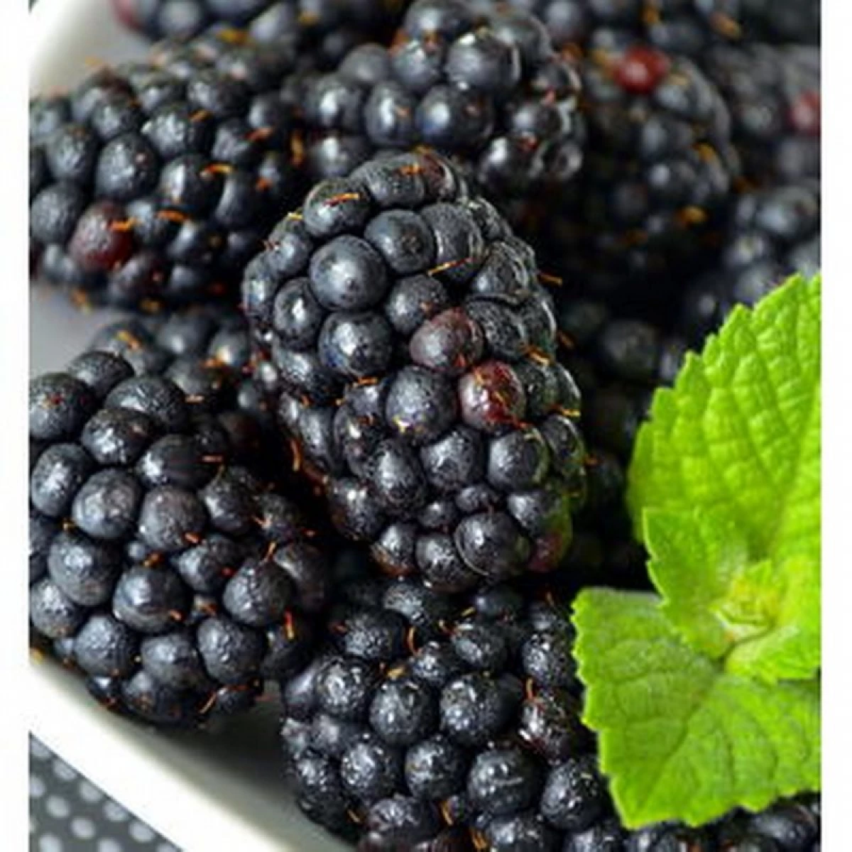Large and sweet: overview of the best blackberry varieties 13980_2