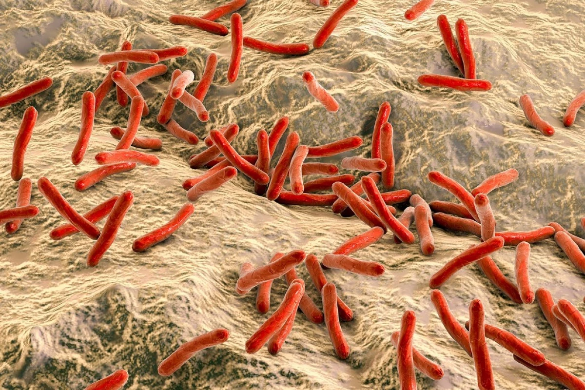 Genetics akaziva kuti tuberculosis yakaumba immune system yemunhu 16163_1