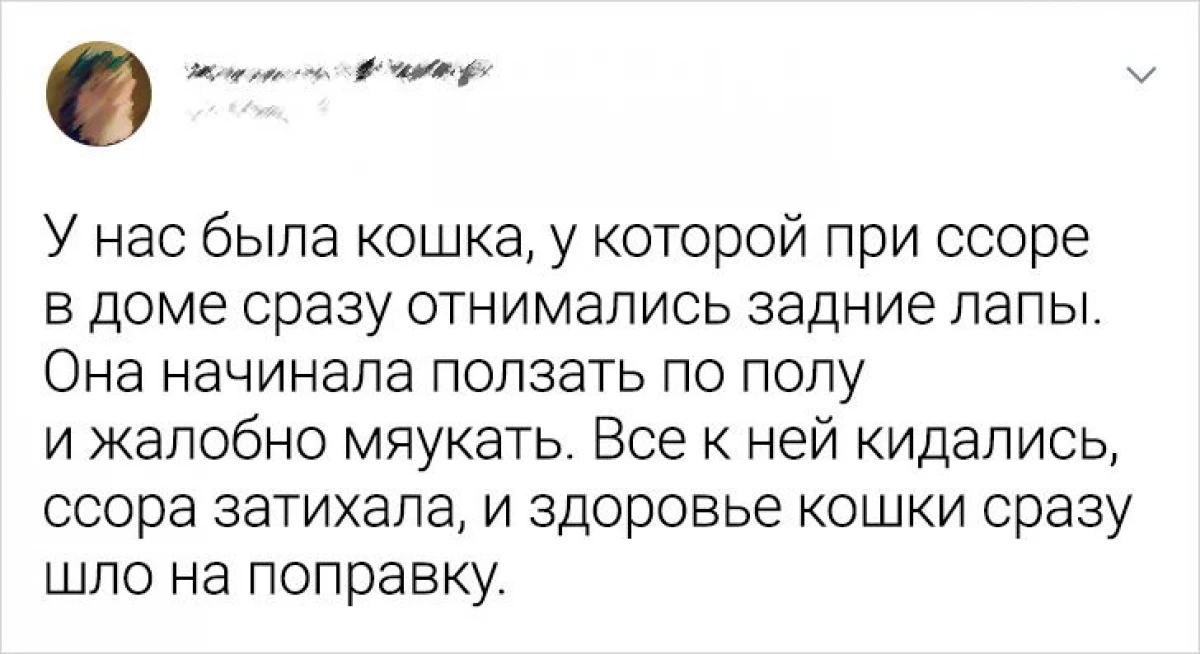Readers Adme.ruは、国内ペットが彼らの知性でそれらをどのように襲ったかを語った 16596_1