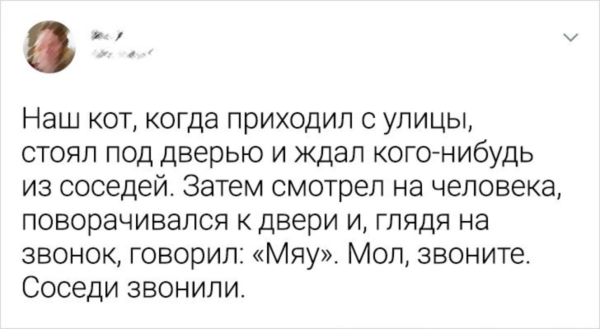 ಓದುಗರು adme.ru ದೇಶೀಯ ಸಾಕುಪ್ರಾಣಿಗಳು ತಮ್ಮ ಗುಪ್ತಚರವನ್ನು ಹೇಗೆ ಹೊಡೆದವು 16596_5