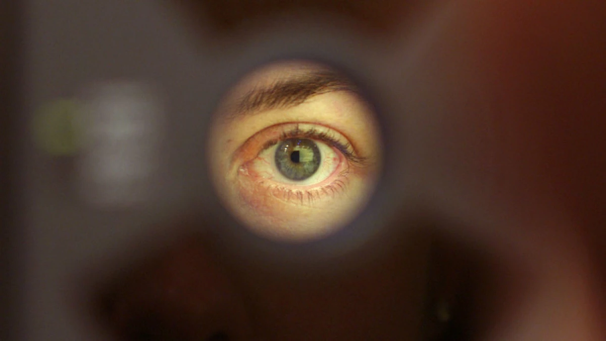 I netthinnen fant øynene en biomarkør kardiovaskulære sykdommer 16625_1