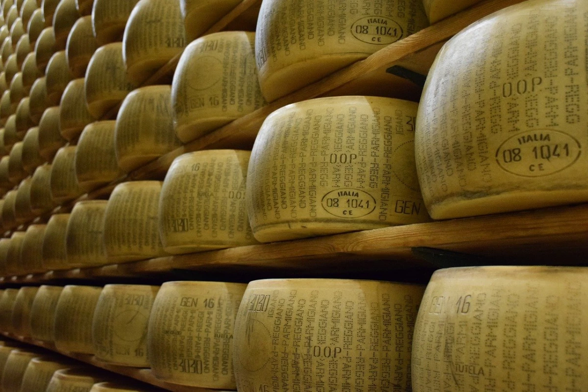 In Italy there is a bank that gives duty on the security of cheese 16699_1
