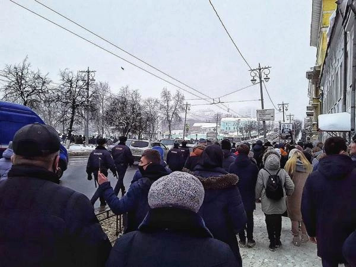 Комисарят по правата на човека коментира действията на полицията за кампанията на 23 януари във Владимир 16910_1