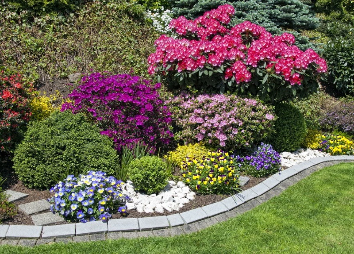 Keväällä - aika moninkertaistaa koristeelliset kasvit. Parhaita tapoja 17020_1