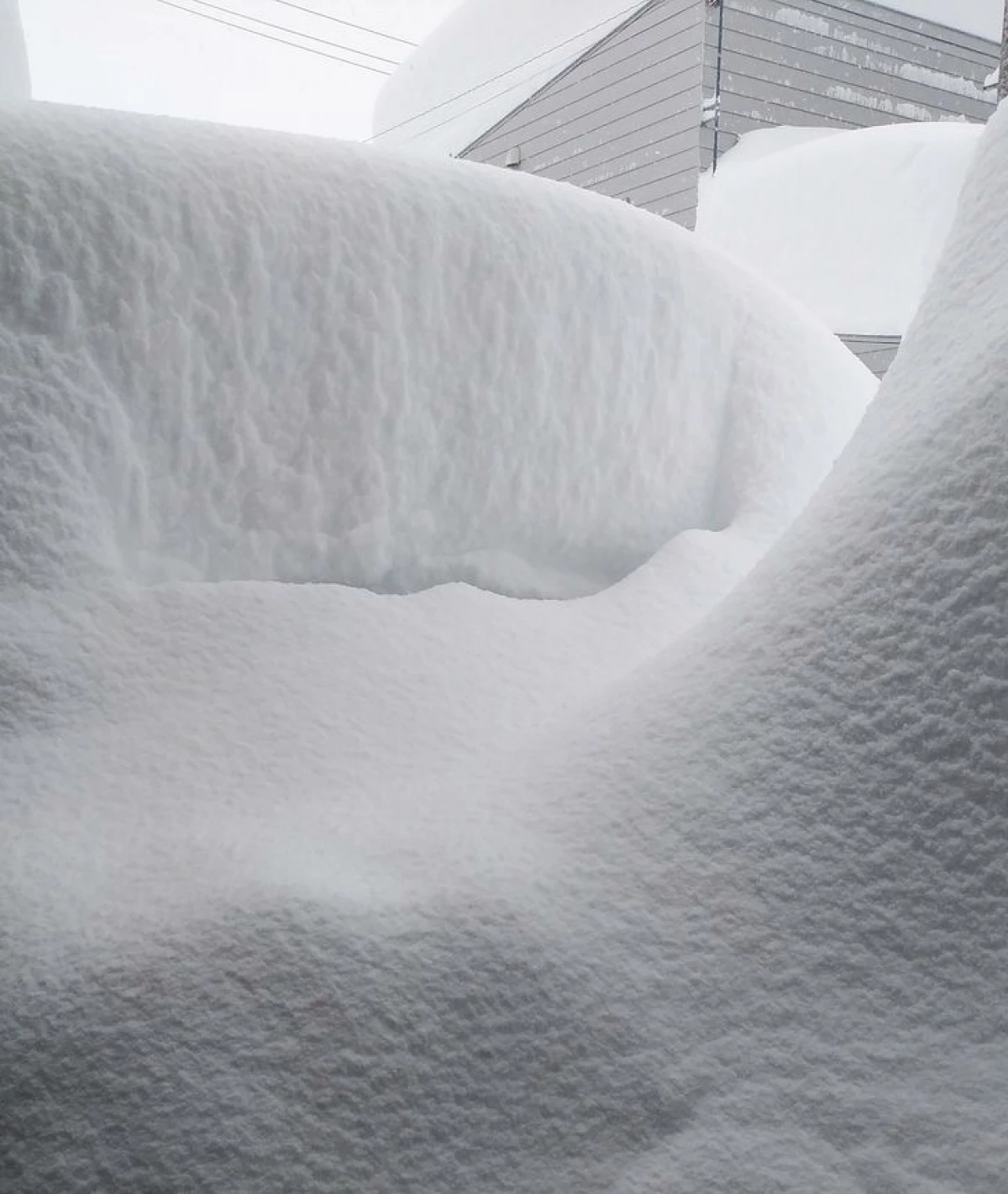 20 + bilder om hvordan Surov og uforutsigbar japansk vinter 17379_7