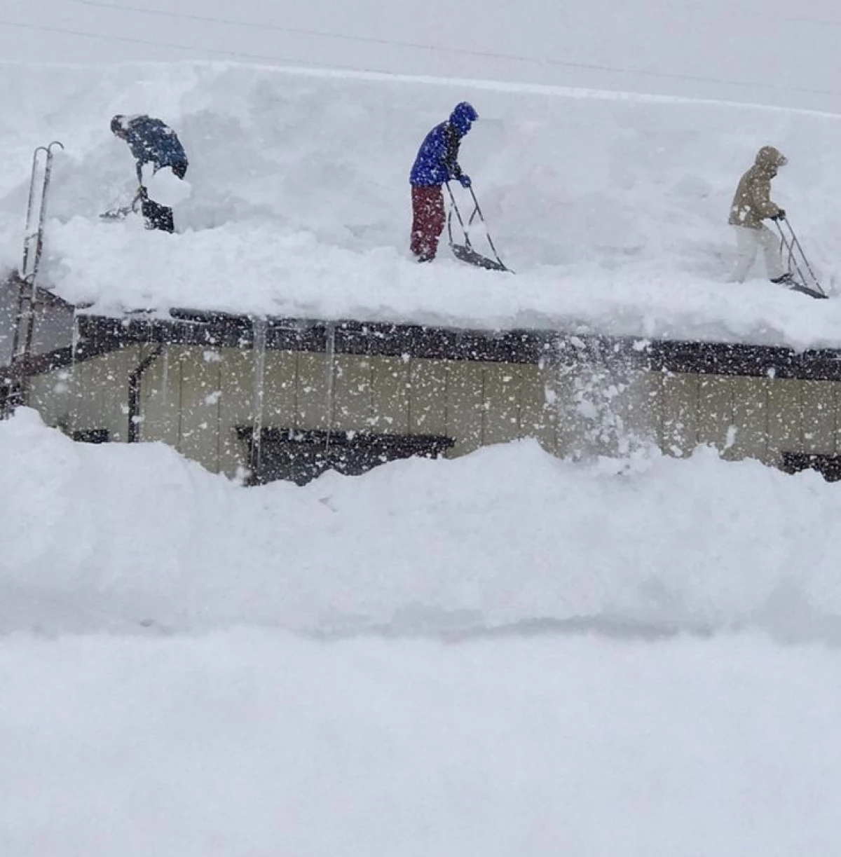 20 + bilder om hvordan Surov og uforutsigbar japansk vinter 17379_8