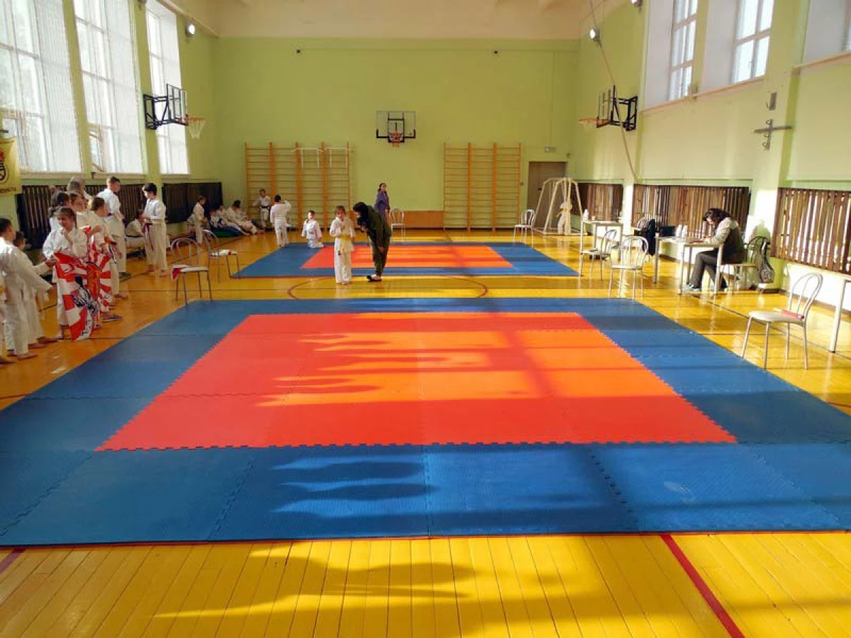 El jove karateta va mostrar una classe al Dia del Defensor del Dia de la Pàtria a Novosibirsk 1797_11
