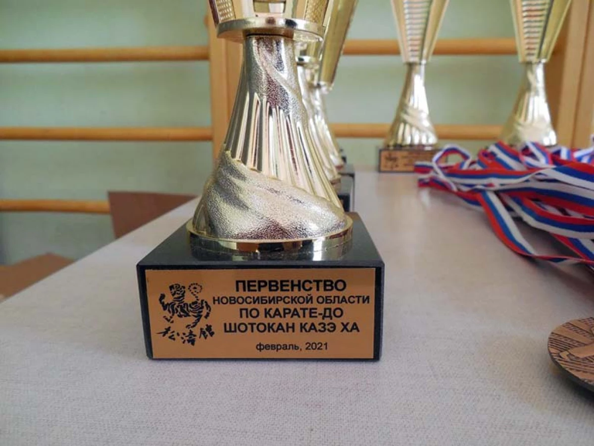 A Young Karateta a Novoszibirszk Védő napjának napján egy osztályt mutatta 1797_14