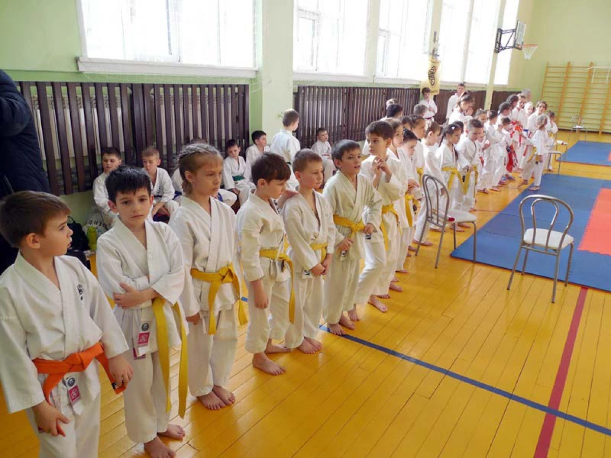 El jove karateta va mostrar una classe al Dia del Defensor del Dia de la Pàtria a Novosibirsk 1797_2