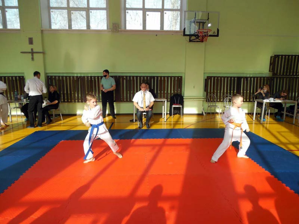 Young Karateta แสดงให้เห็นถึงชั้นเรียนในวันที่ผู้พิทักษ์ของวันปิตุภูมิใน Novosibirsk 1797_3
