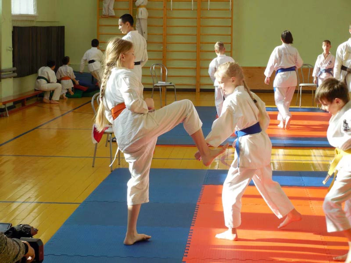 Genç Karateta, Novosibirsk'te Anavatan Günü savunucusu gününde bir sınıf gösterdi. 1797_4