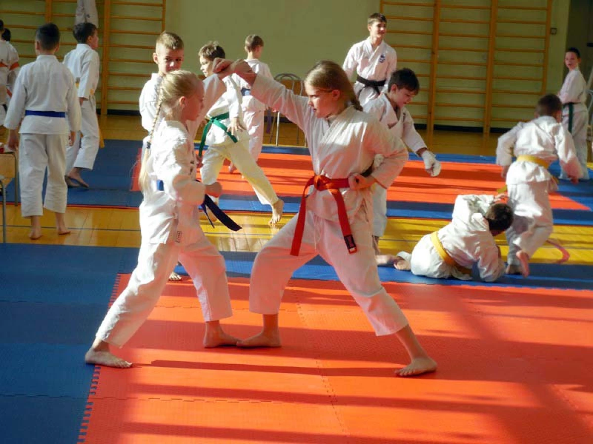 El jove karateta va mostrar una classe al Dia del Defensor del Dia de la Pàtria a Novosibirsk 1797_6