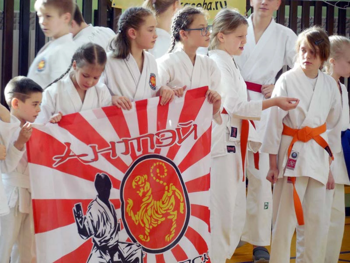 El jove karateta va mostrar una classe al Dia del Defensor del Dia de la Pàtria a Novosibirsk 1797_7