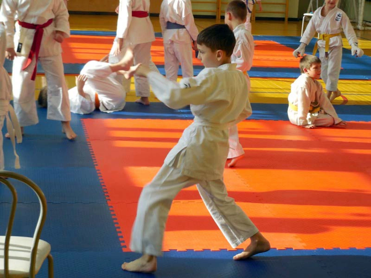 El jove karateta va mostrar una classe al Dia del Defensor del Dia de la Pàtria a Novosibirsk 1797_8