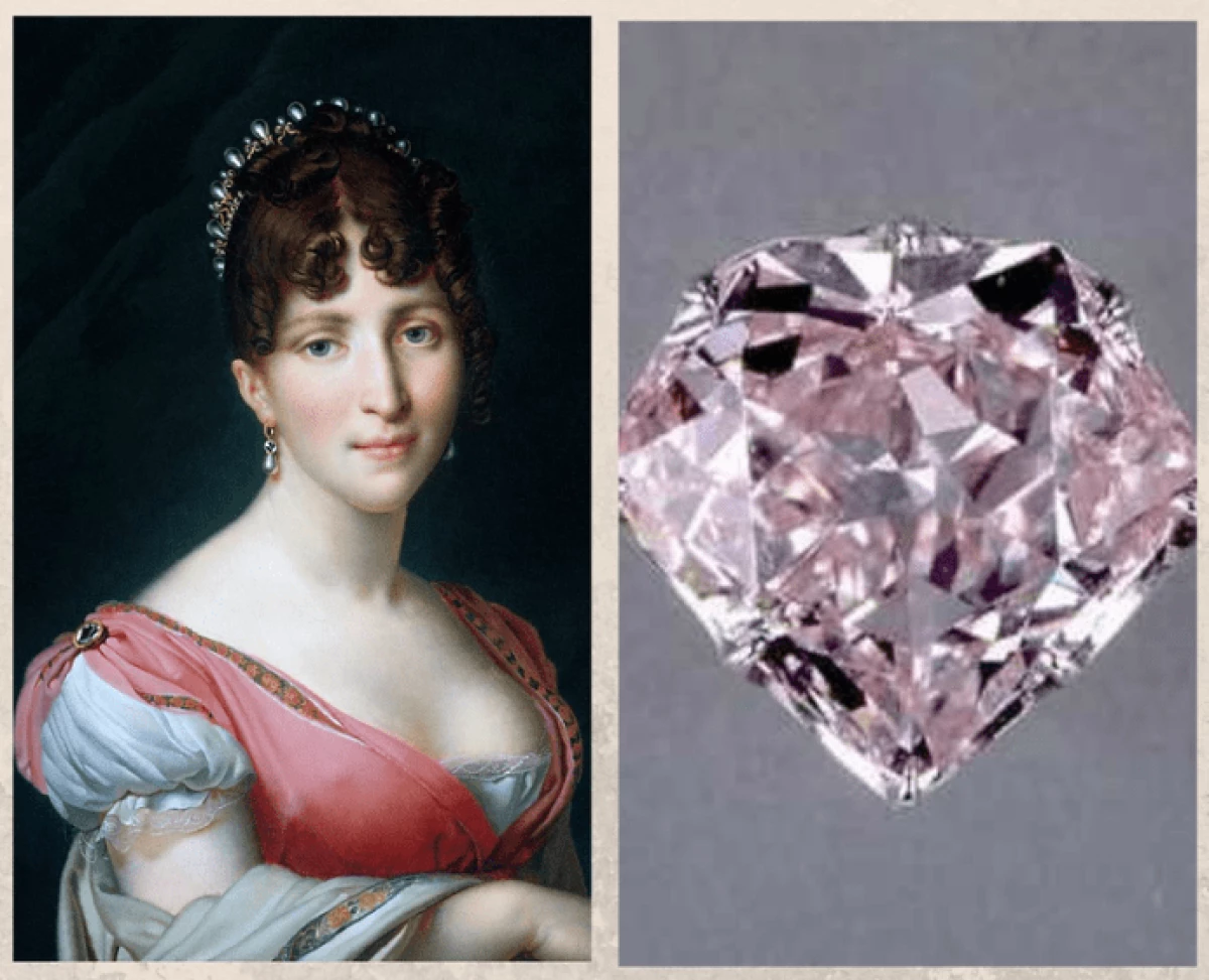 IHydrangea: Queen Pink Dutch Queen Brilliant 18022_1
