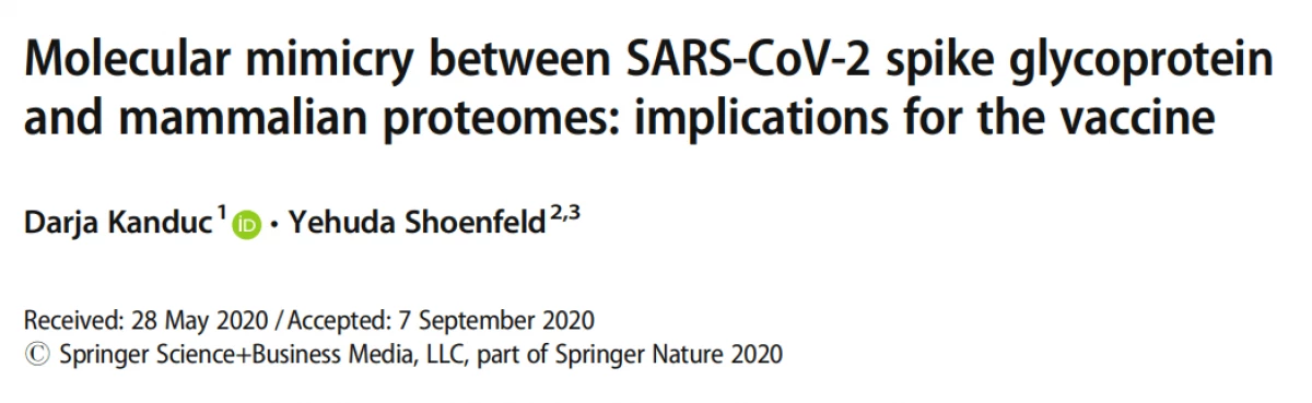 SARS-COV-2 яагаад олон Autoimmune хариу үйлдэл үзүүлдэг вэ? 18296_2