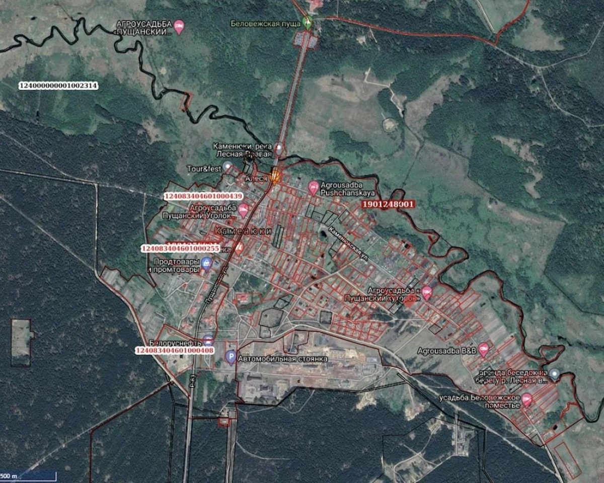 Az árverés eredményei: Hány területet értékesítettek Belovezhskaya Pushcha-ban? 18304_2