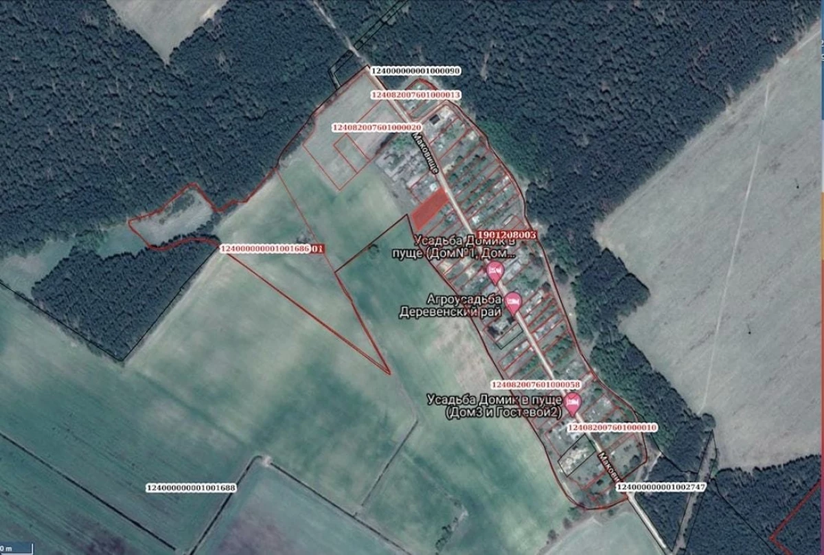 Az árverés eredményei: Hány területet értékesítettek Belovezhskaya Pushcha-ban? 18304_5