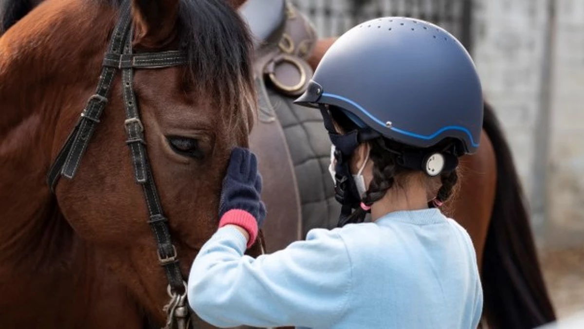 A Beloyarsk kerületben nyit egy lovas klubot az egészségügyi sajátosságokkal rendelkező gyermekek számára 20464_1