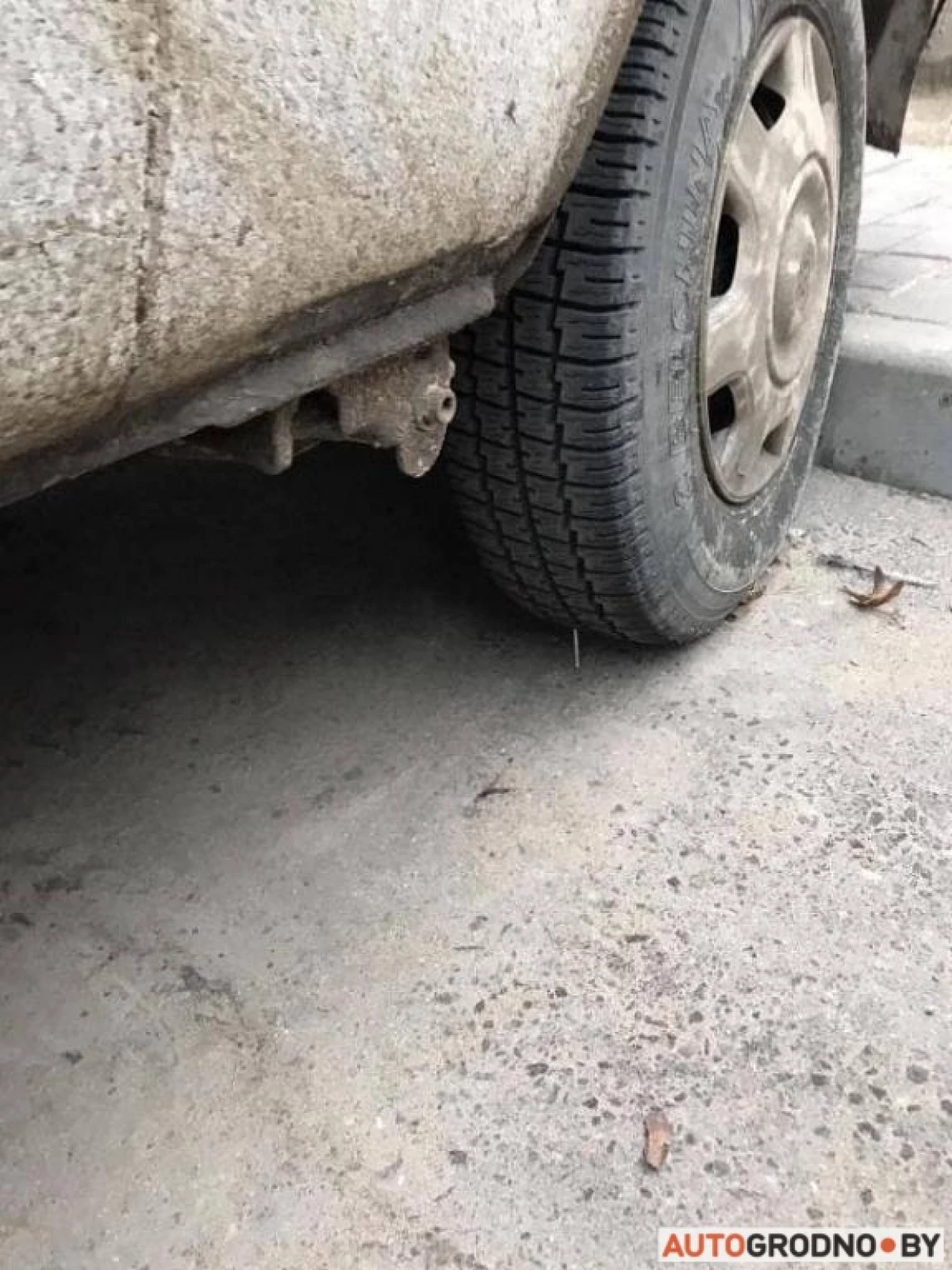 Grodnoでは、駐車場の1つで、レスリングレスラーは爪の車輪の下に横たわっており、メガネは糞便を汚しました 20582_2