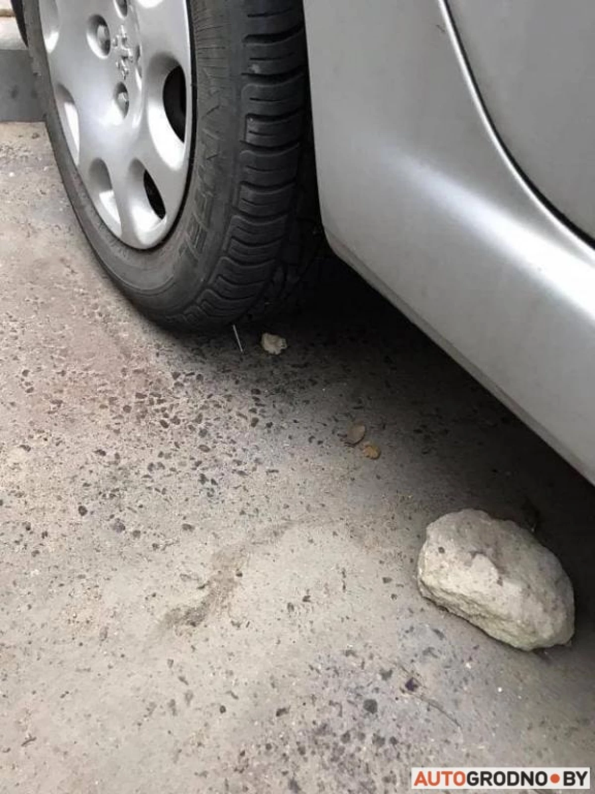 Grodnoでは、駐車場の1つで、レスリングレスラーは爪の車輪の下に横たわっており、メガネは糞便を汚しました 20582_3