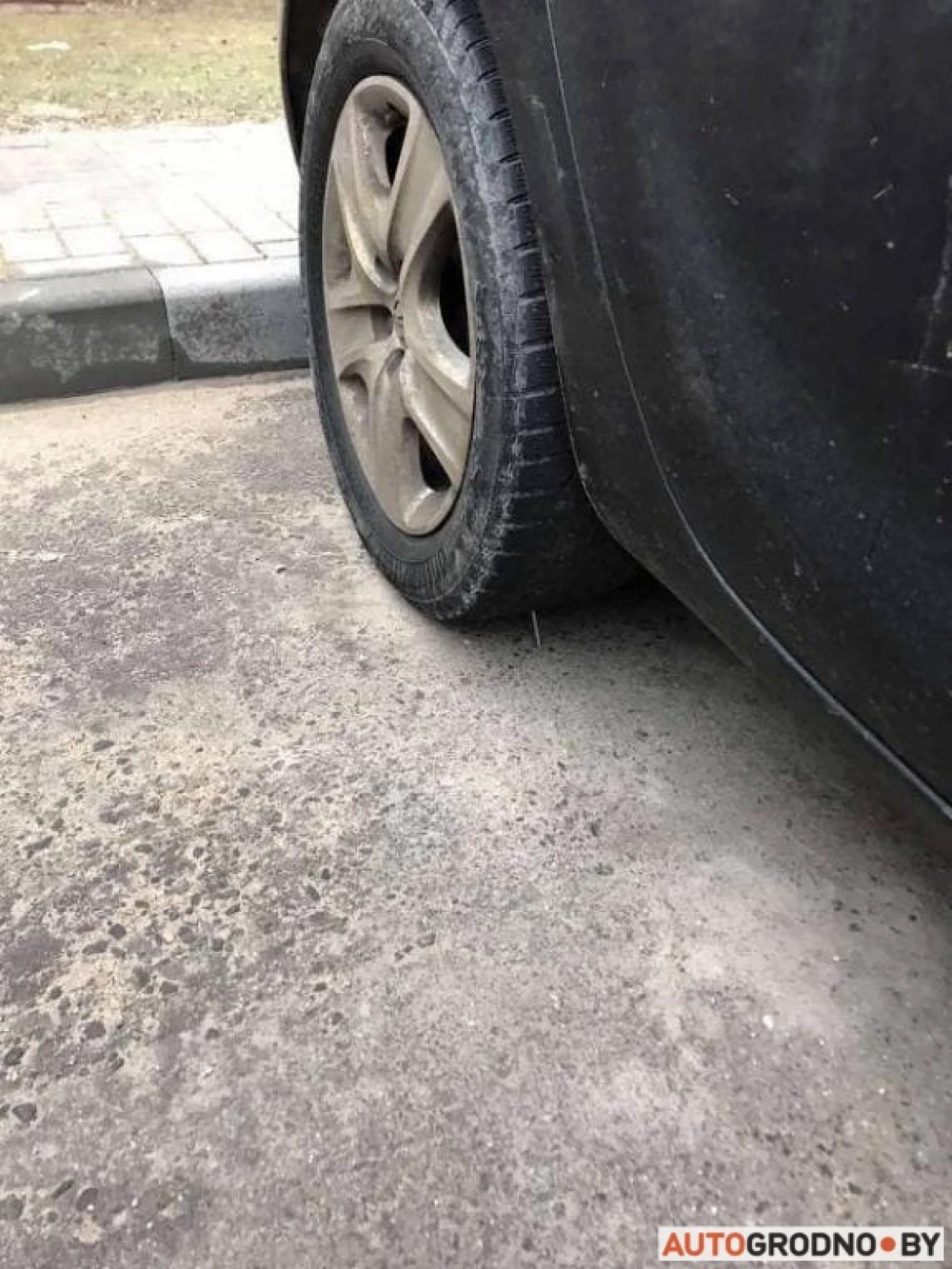 Grodnoでは、駐車場の1つで、レスリングレスラーは爪の車輪の下に横たわっており、メガネは糞便を汚しました 20582_4