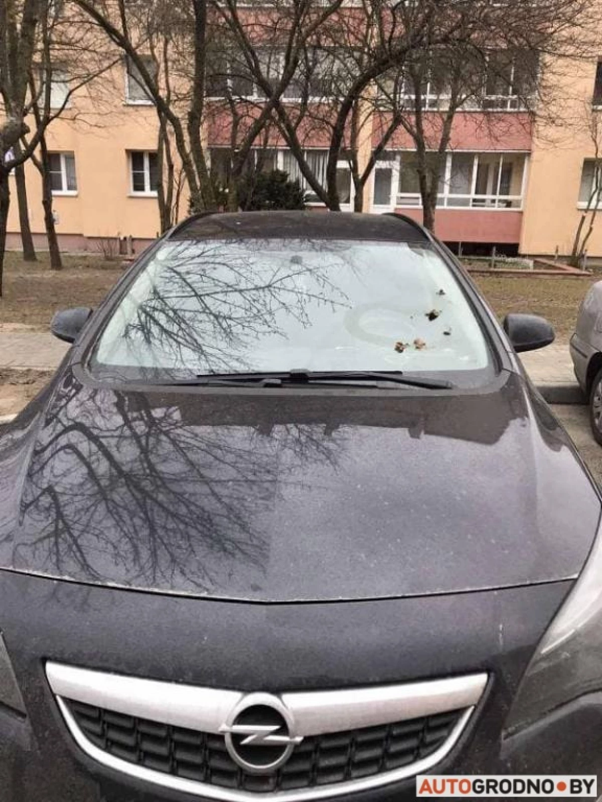 Grodnoでは、駐車場の1つで、レスリングレスラーは爪の車輪の下に横たわっており、メガネは糞便を汚しました 20582_6