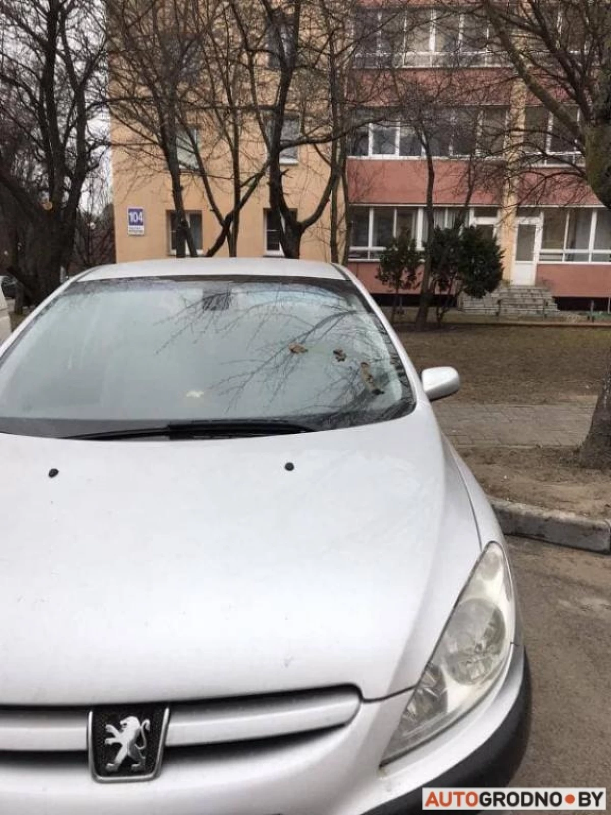En Grodno, en uno de los estacionamientos, los luchadores luchadores yacían debajo de las ruedas de las uñas, y las gafas mancharon las heces. 20582_7