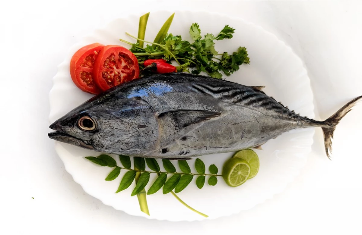 Sea Fish: Mida valida ja kuidas süüa 21146_10