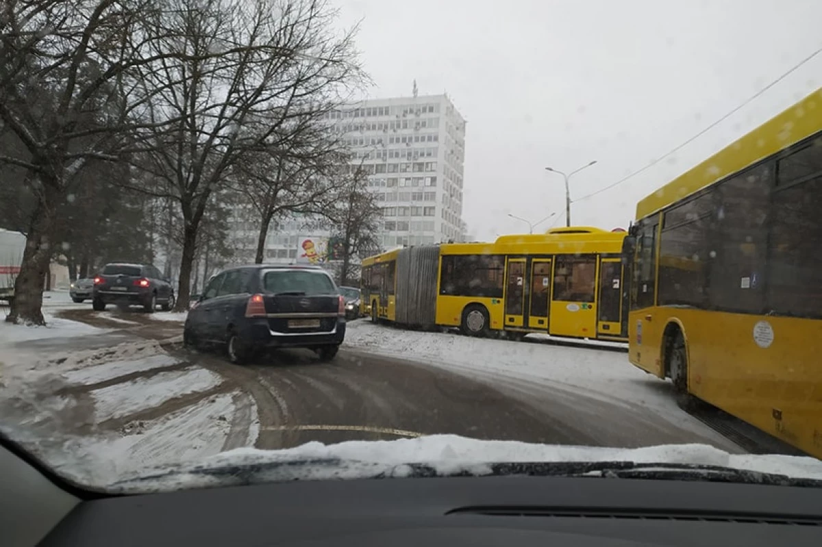 في مينسك، حظرت الحافلة الشارع. الأدلة: كان على السائقين السفر بين الأشجار 2118_2