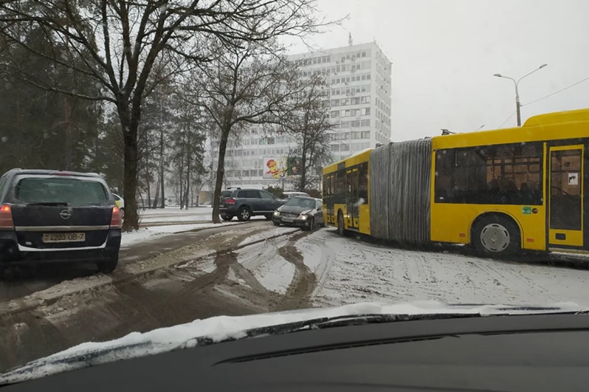 في مينسك، حظرت الحافلة الشارع. الأدلة: كان على السائقين السفر بين الأشجار 2118_3