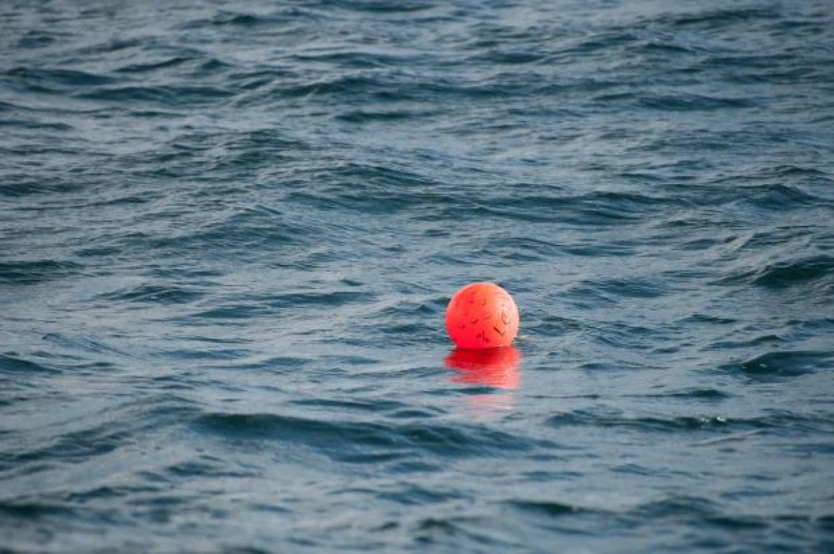 O homem sobreviveu após uma estadia de 14 horas nas águas do Oceano Pacífico graças a Musor 21365_3