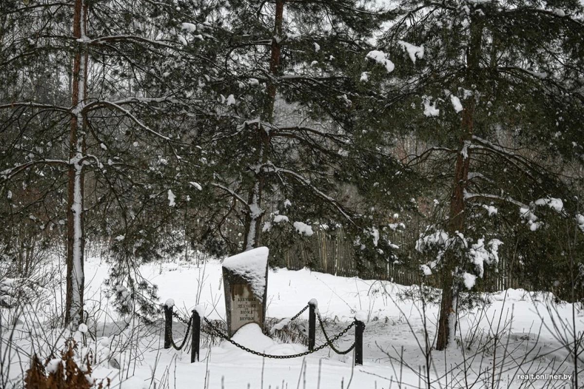 Graves op de binnenplaatsen. Dit is een herinnering aan het vreselijke verleden van het Wit-Russische dorp 22935_6