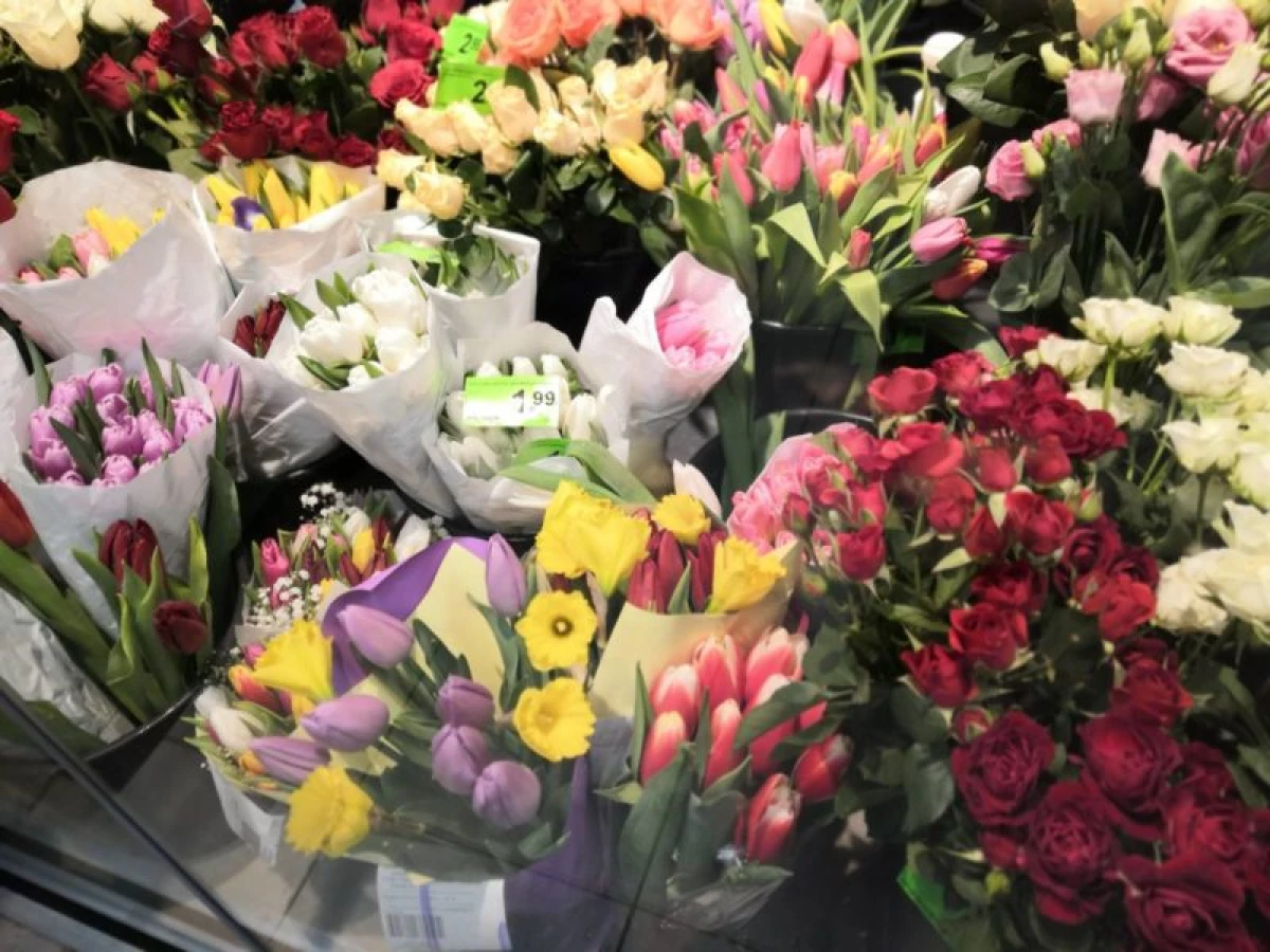 În ajunul entuziasmului: Prezentare generală a prețurilor pentru vânzător de flori și vânzări de la Newgrodno 23323_3