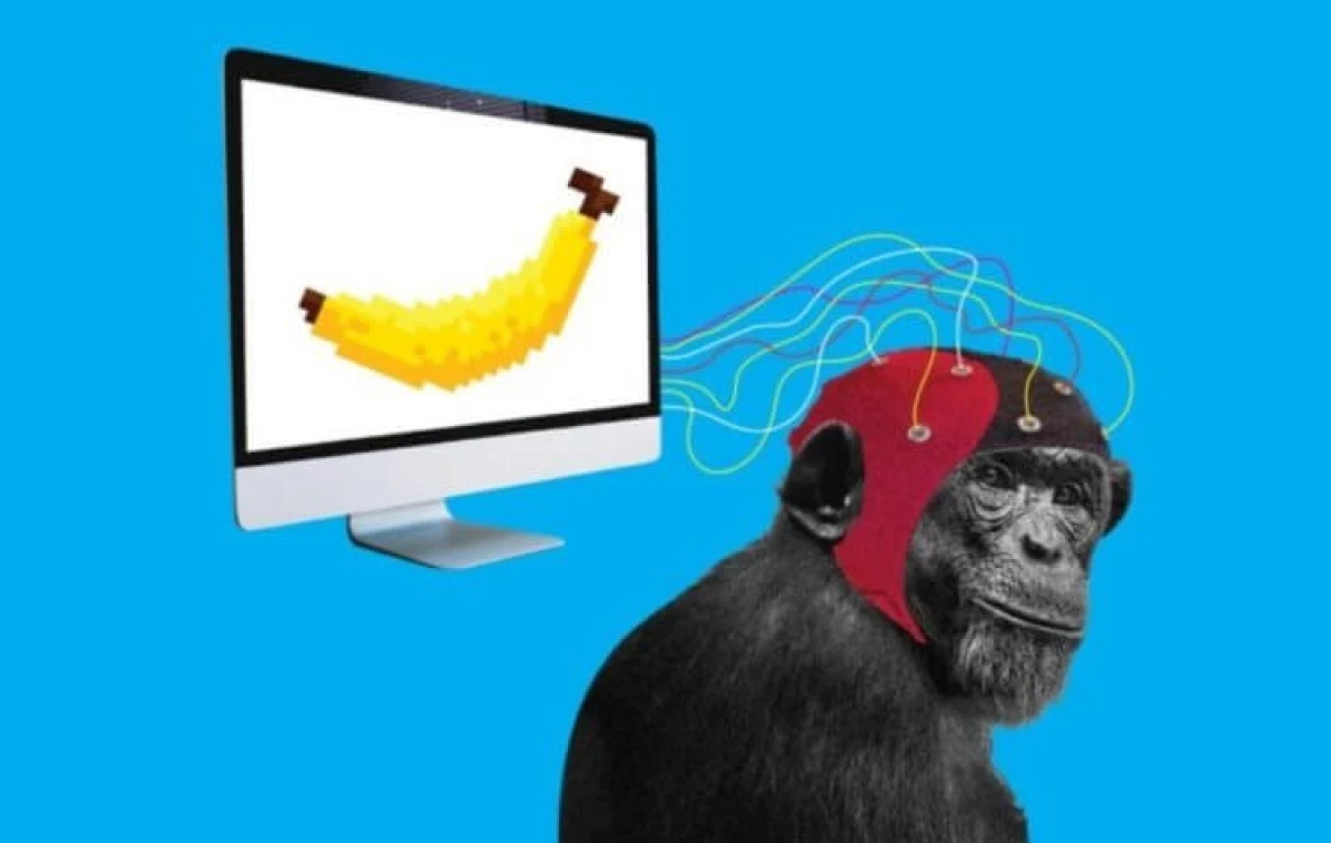 Ilon Mask va anunciar un mico 