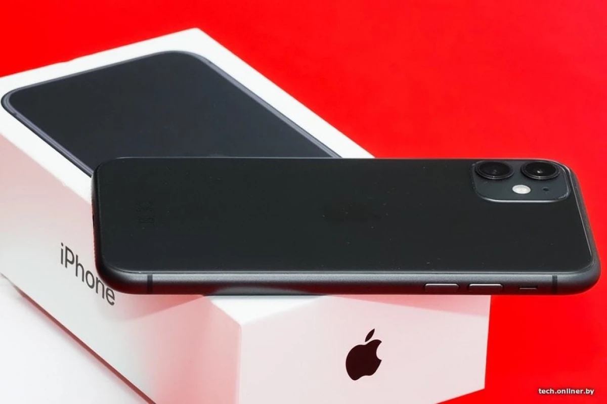 अॅप्पल आयफोन 11 ही 2020 मध्ये सर्वात खरेदी केलेली उत्पादन निर्देशिका आहे. आणि कॅटलॉगमध्ये कशाची मागणी केली गेली? 2478_2