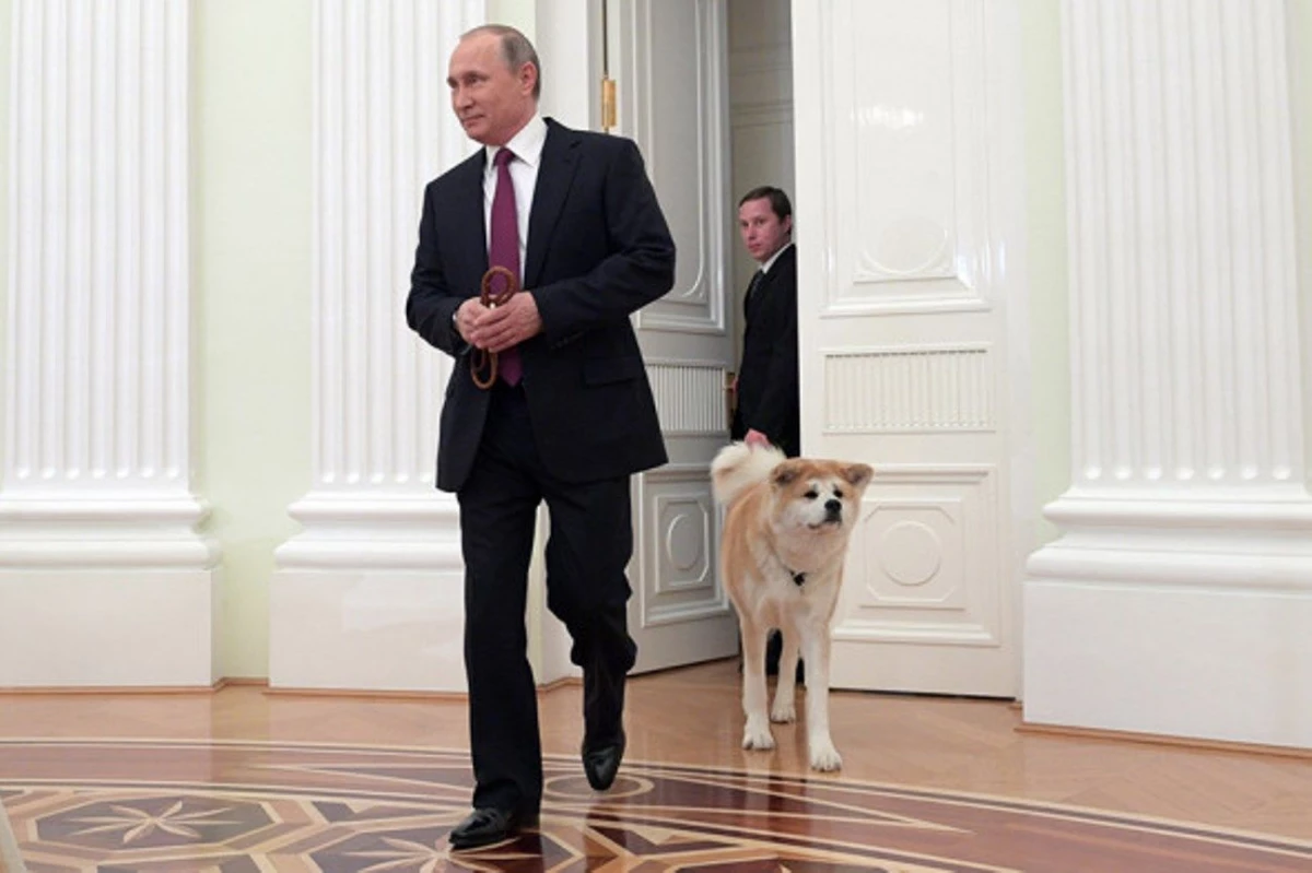Kam Vladimirs Putina balinātājs, Joe Biden un citi valsts vadītāji 24826_1