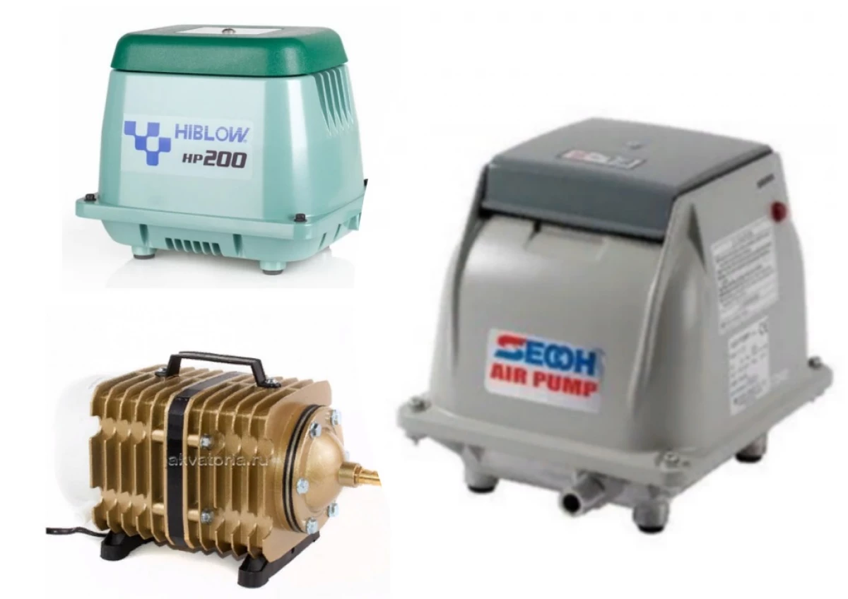 Best Compressorors for Septicic 2021 2809_1
