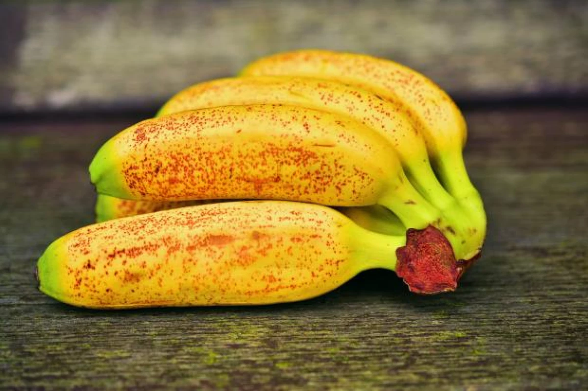 8 Prednosti banana za tijelo: šta je korisno egzotično voće 290_4