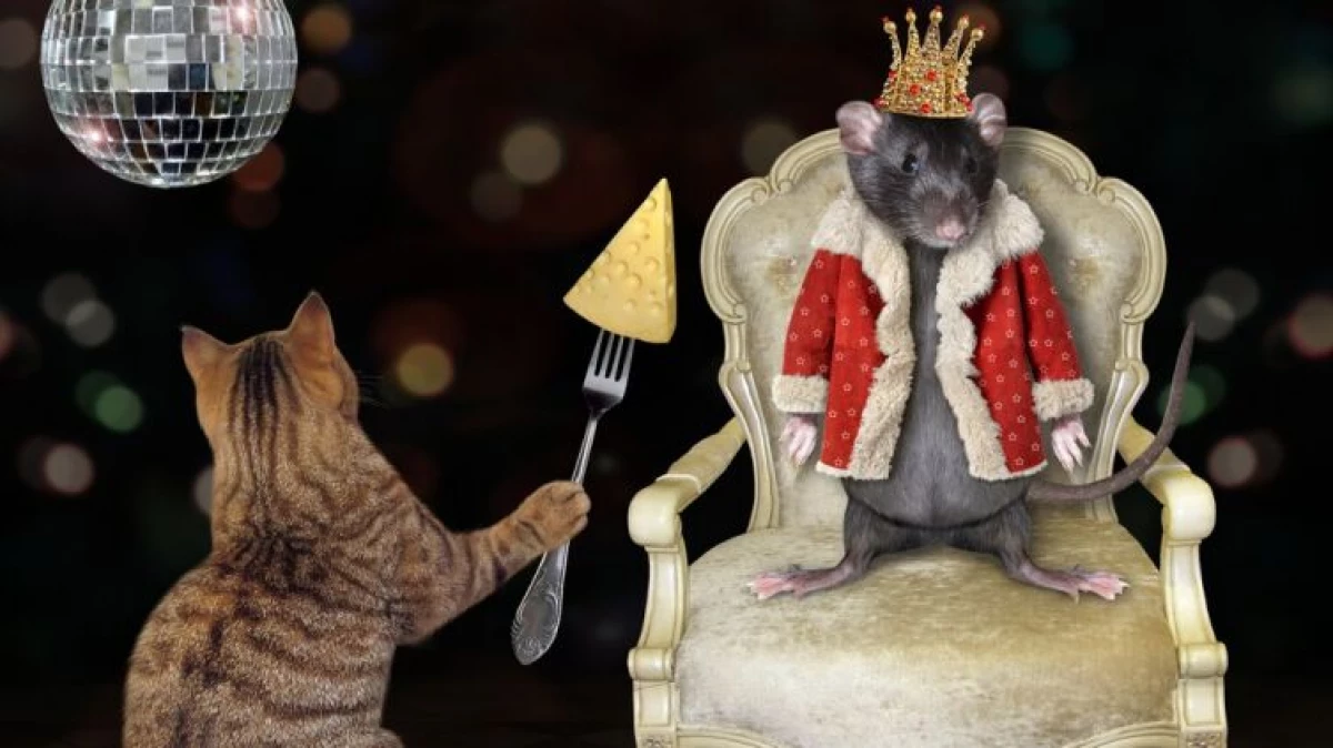 Rat King: Misy ve izy amin'ny zava-misy? 3295_1
