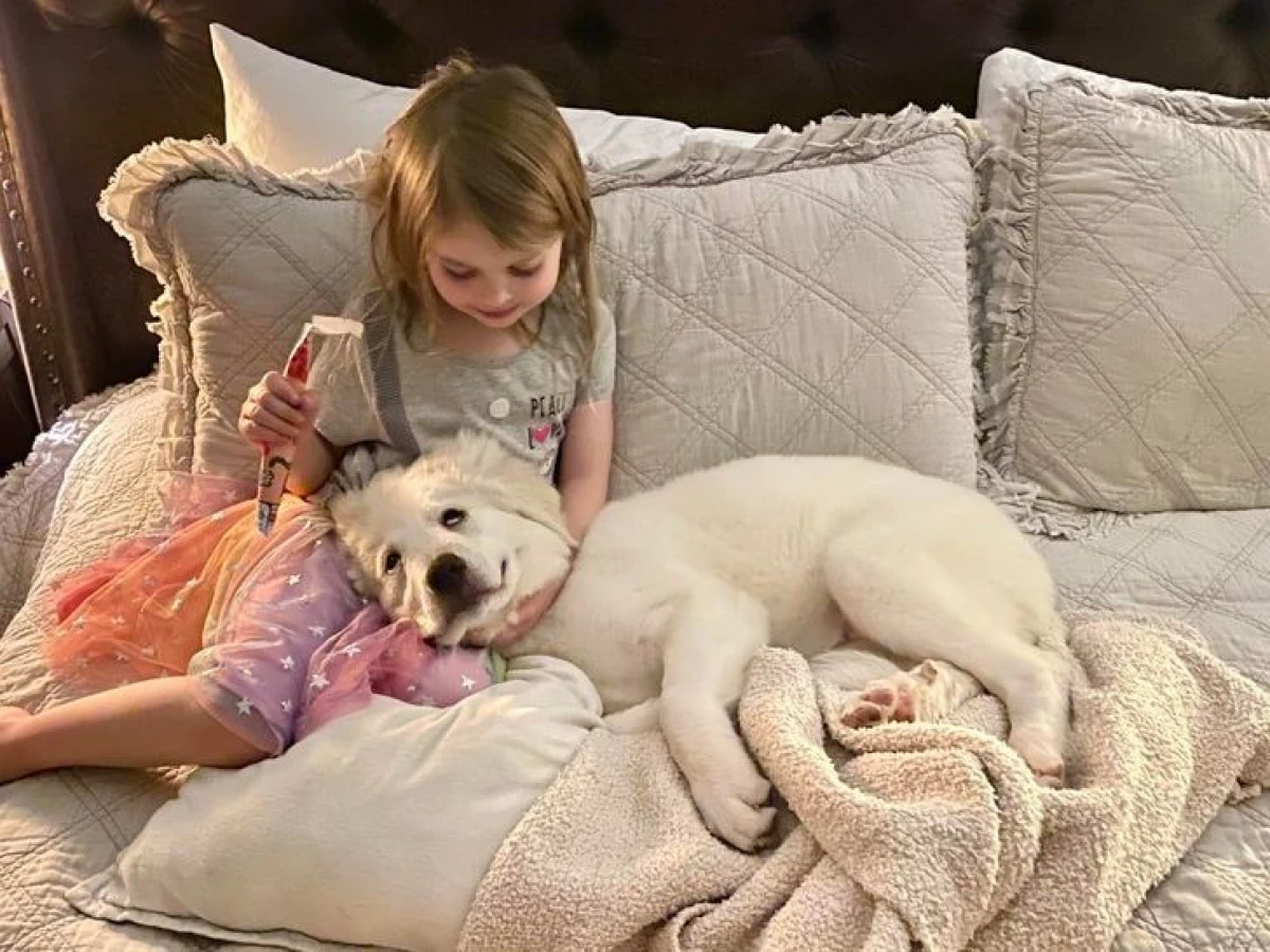 20 photos that prove that children and animals are friends for life 3423_20