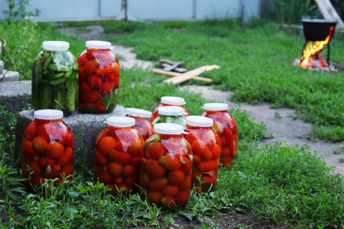 Cómo mantener los tomates en forma fresca al invierno. 4356_3